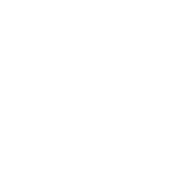 Interactive Animations